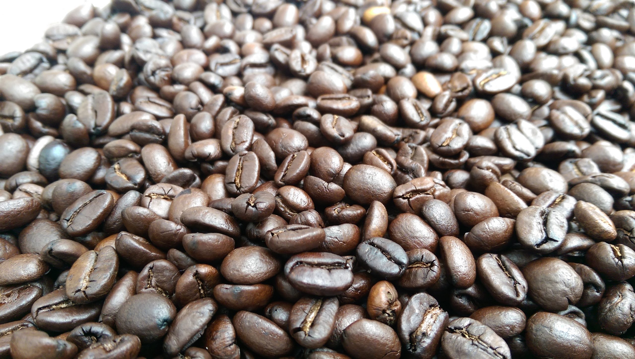 Perfekte Bohnen: Wissen & richtige Lagerung